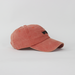 Baseball Cap - D104