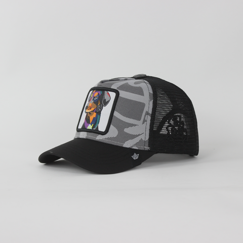 Baseball Cap - D102