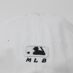 Baseball Cap - D117