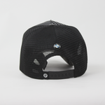 Baseball Cap - D310