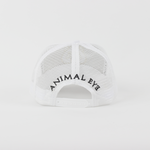 Baseball Cap - D339