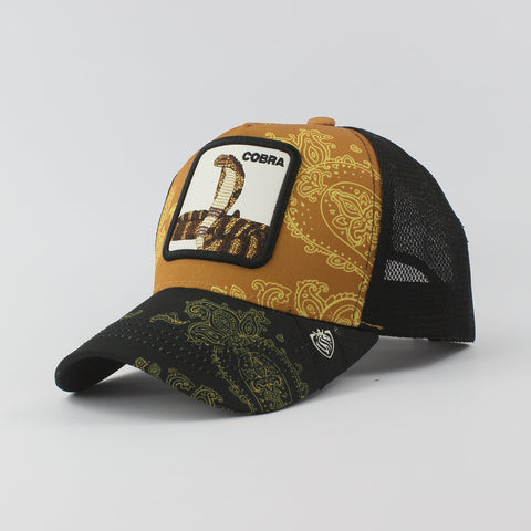 Baseball Cap - D417