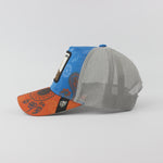Baseball Cap - D421