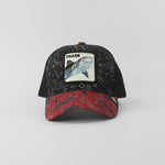 Baseball Cap - D423