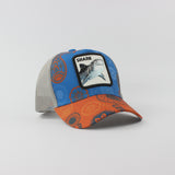 Baseball Cap - D426