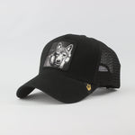 Baseball Cap - D457