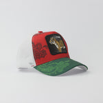 Baseball Cap - D365