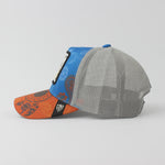 Baseball Cap - D369
