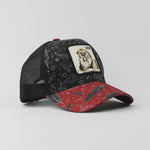 Baseball Cap - D371