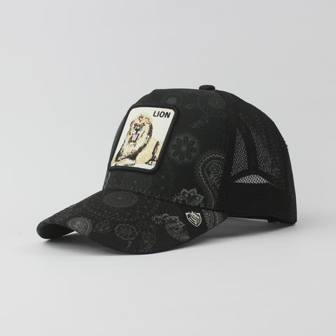 Baseball Cap - D375