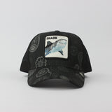 Baseball Cap - D382