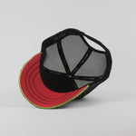 Baseball Cap - D441