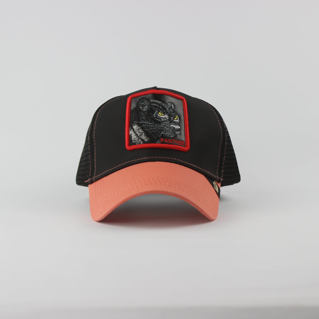 Baseball Cap - D439