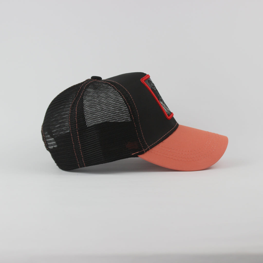 Baseball Cap - D439