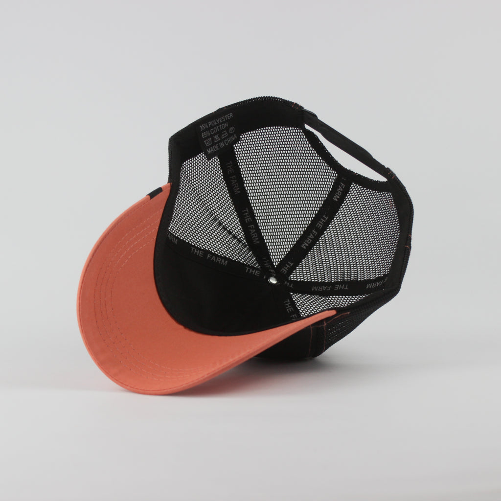Baseball Cap - D439